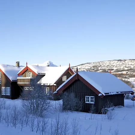 Feriehus Grand Log With Fireplace And 12-14 Beds Beitostolen