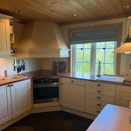 Grand Log With Fireplace And 12-14 Beds Feriehus Beitostolen