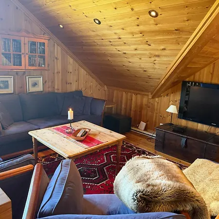 Grand Log With Fireplace And 12-14 Beds Feriehus *